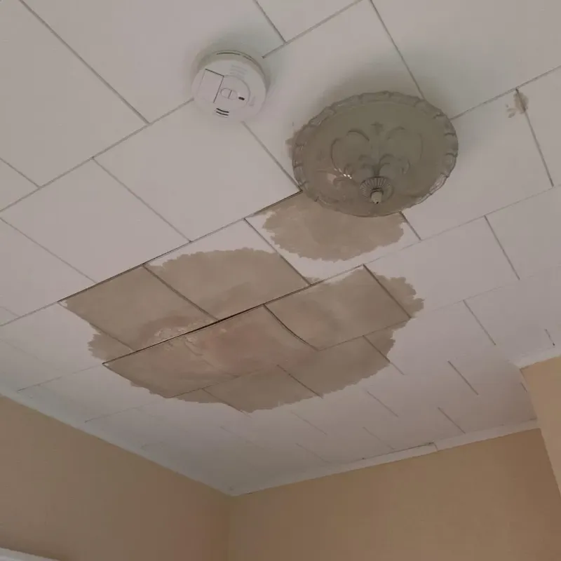 Ceiling Water Damage Repair in Latrobe, PA
