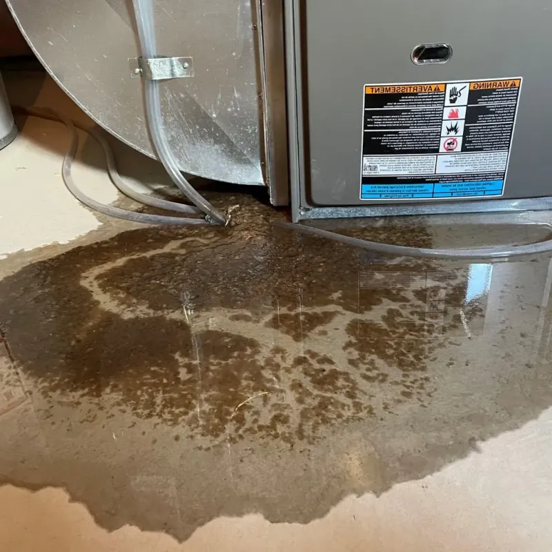 Pipe Burst and Leak Restoration in Latrobe, PA