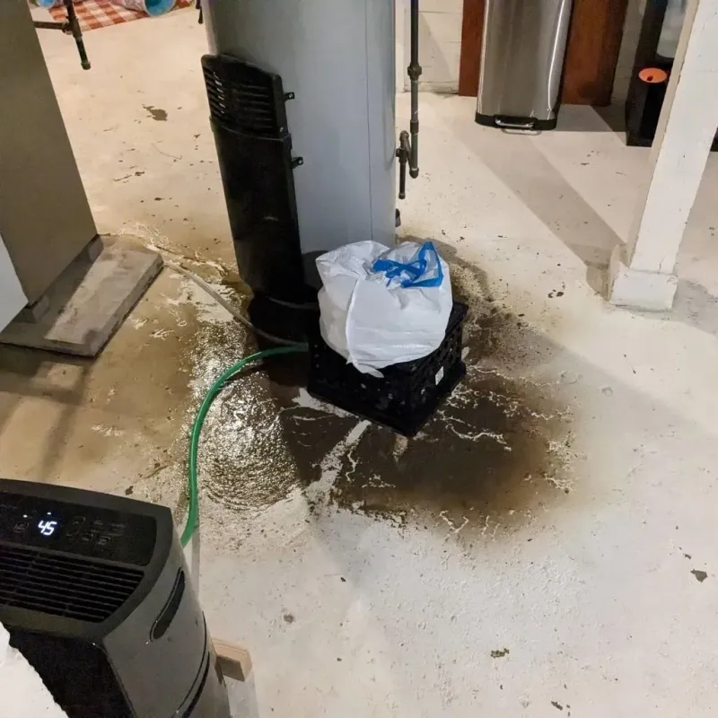 Sewage Backup Cleanup Service in Latrobe, PA